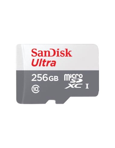 MEMORY MICRO SDXC 256GB UHS-I/SDSQUNR-256G-GN6TA SANDISK