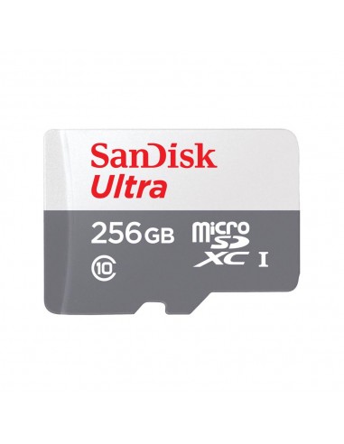 MEMORY MICRO SDXC 256GB UHS-I/SDSQUNR-256G-GN3MN SANDISK