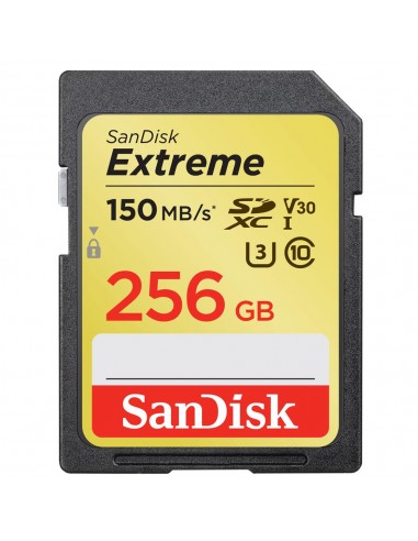 MEMORY SDXC 256GB UHS-1/SDSDXV5-256G-GNCIN SANDISK