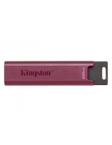 MEMORY DRIVE FLASH USB3.2/256GB DTMAXA/256GB KINGSTON